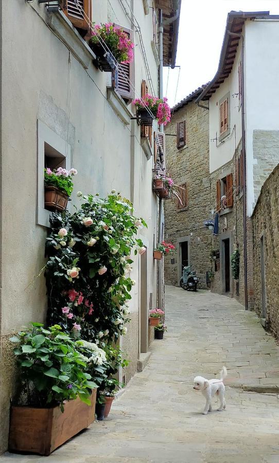 Casa Agata, Accogliente Appartamento Nel Centro Storico Cortona Eksteriør billede